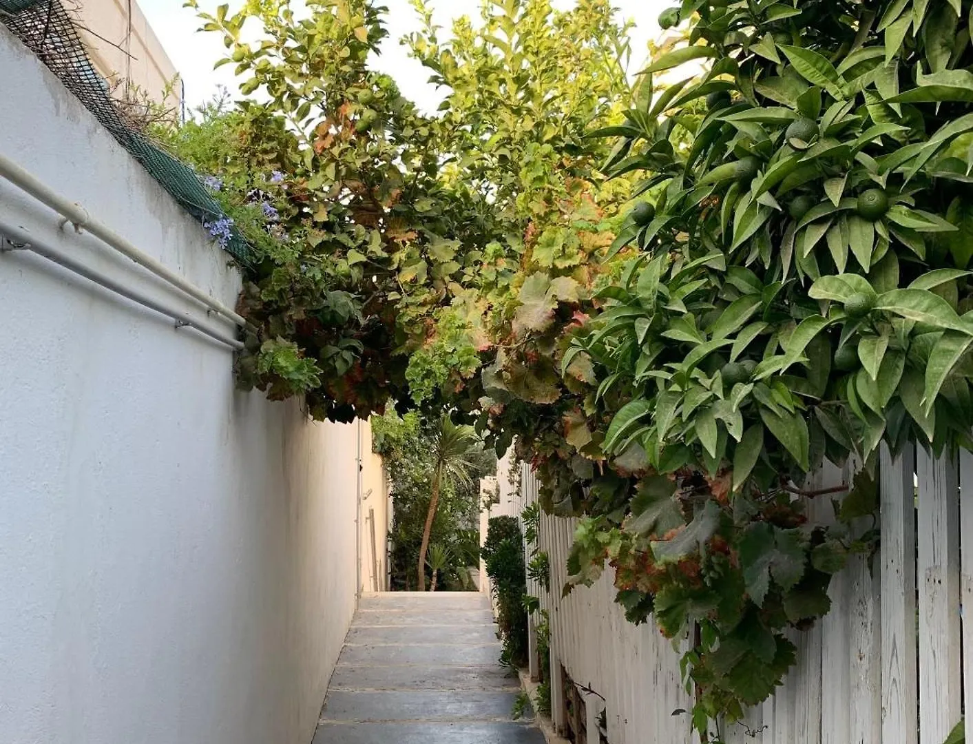 Villa Gardina Raoued